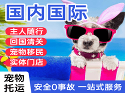 长沙空运公司国际宠物托运 【国
